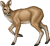 Saber-tooth Deer