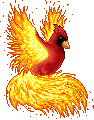 Cardinal Phoenix