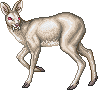 unnamed Annoyance Deer