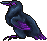 Ravens Riddle Nevermore
