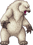 unnamed Polar Bear