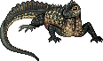 Dusk Hydrosaurus