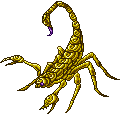 Western Oriental Scorpion