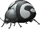 Taijitu Beetle