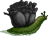 Nocturne Rose Snail