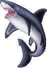 Karcharos Shark