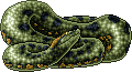 Tetzcotal Anaconda