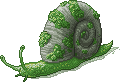 Moss Snail