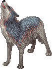 Common Borean Wolf