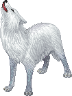 Faded Borean Wolf