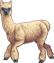 Here a Llama