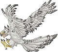 Falcon Hawk